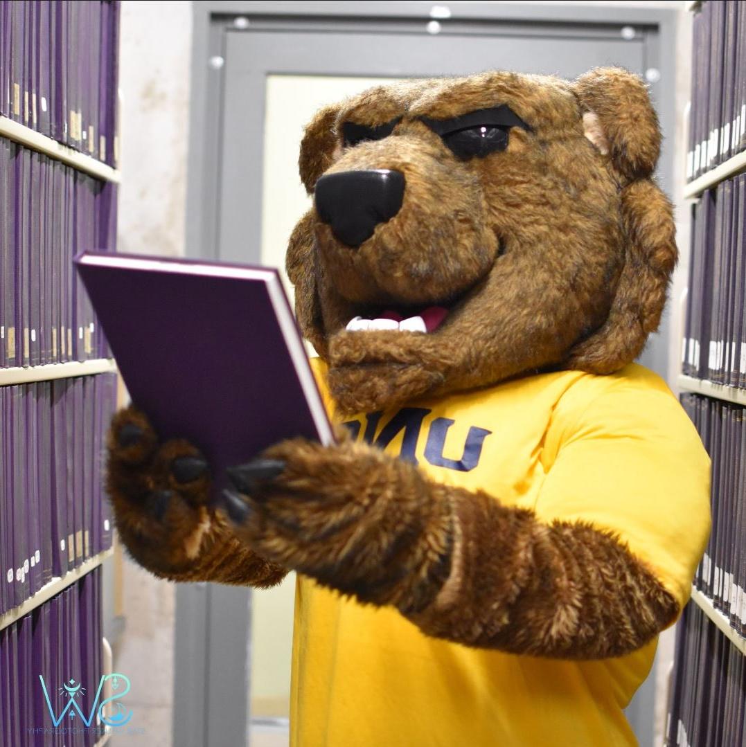 博天堂官方的吉祥物克劳兹在大学图书馆浏览成堆的论文档案.